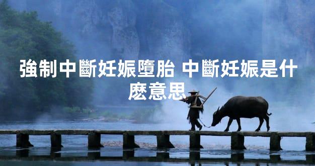 強制中斷妊娠墮胎 中斷妊娠是什麽意思